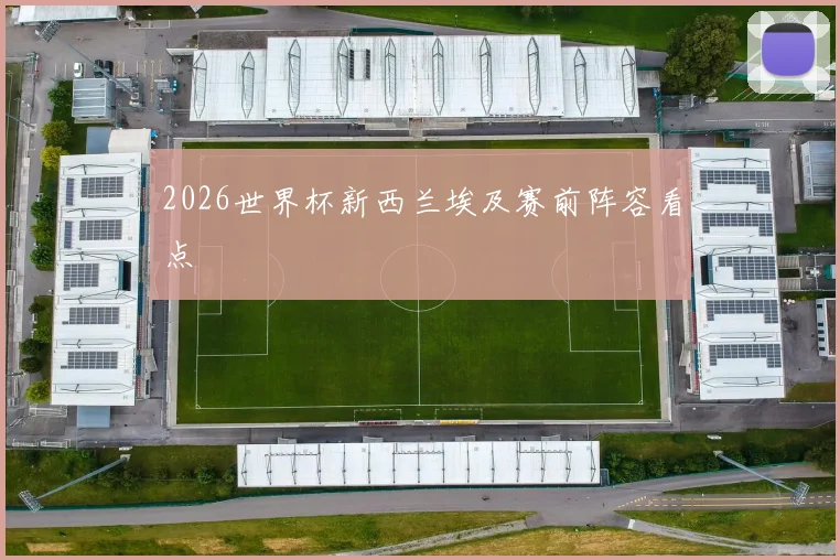 2026世界杯新西兰埃及赛前阵容看点